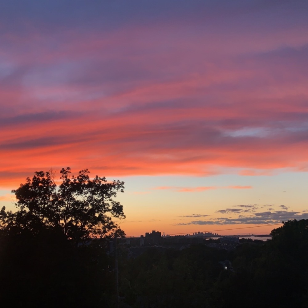 Meet your Posher, Hayden
